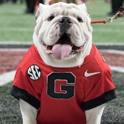 DukesDawgs Profile Picture