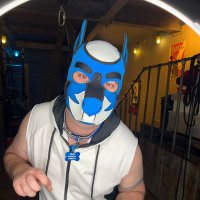 Pup Harou (@haroupup) 's Twitter Profile