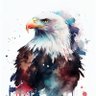 hawkseatian's profile picture. 