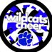 LGHS CHEERLEADING (@lgcheercats) Twitter profile photo