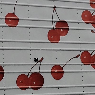 onegaisimasu7's profile picture. 잘 부탁드립니다🙏🏻