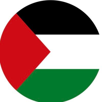 🇵🇸