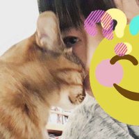 みや昆布(@qSjo72ja8Od3tkV) 's Twitter Profile Photo