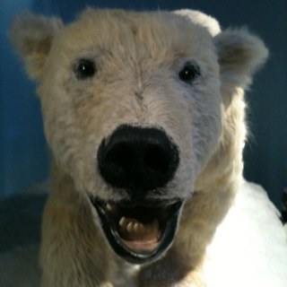 SwissCheese93's profile picture. Fighter of crime and suppressor of evil