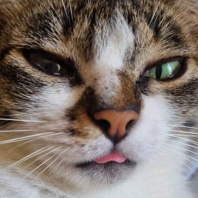 VanteDutra's profile picture. army e bookstan surtada   |fan account| 
           ela/dela