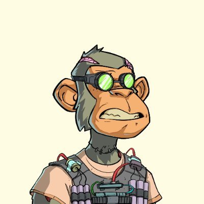 phenomxxsol's profile picture. 24/7 grind mode. 
In love with nft.