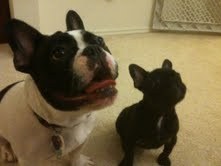 Ash_leigh3's profile picture. AOJ