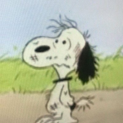 goyslopfan8's profile picture. snoopy