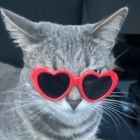 galy (@galycs1) 's Twitter Profile Photo galy (@galycs1) 's Twitter Profile Photo