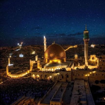 ayman_mohamed91's profile picture. 