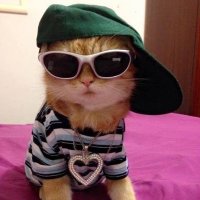 🍎 (@mochiyoshion) 's Twitter Profile Photo