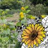 Qzmee2's profile picture. 旅をするように暮らしたい。旅支度をするように生活や持ち物を工夫して、軽く明るく温かく生きたい。
