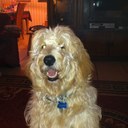 Andy Trujeque - @CoachAndy27 - Twitter