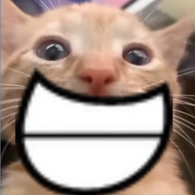 Gato_FelizXD's profile picture. Hola😸
Subo el meme que esta en el fijado + algunas variaciones del Gato Feliz
Se aceptan aportes y variaciones custom de el meme al MD
Los MD estan abiertos
😼