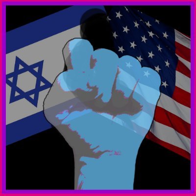 Pro Democracy🩵 🇺🇸| Zionist✡️🇮🇱|Live and Let Live|Principal-Deep State