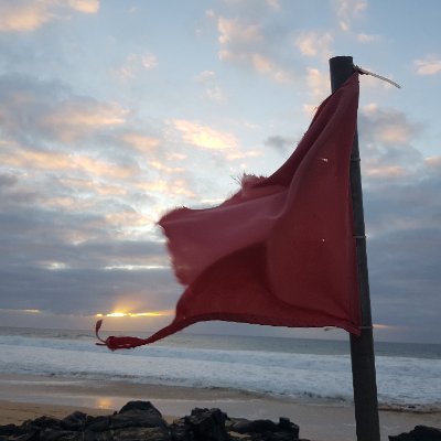 SchmidGunnar's profile picture. Oft sieht man etwas hundert mal, bevor man merkt , wie uninteressant es ist...
Henri Matisse