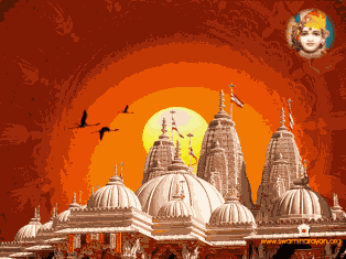 PeterPPP1's profile picture. 