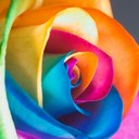 Hailey Bryan - @haileybug2051 - Twitter