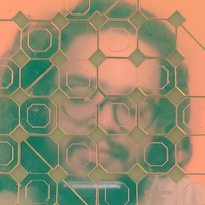 dúzias de dozesさんのプロフィール画像