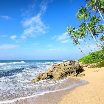 Abdulkadir53061's profile picture. 