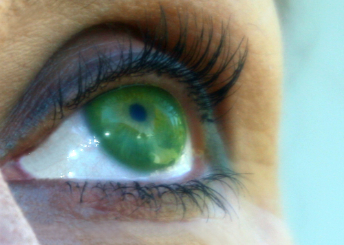 KrisPatrow's profile picture. Award-winning strategic communications & PR specialist. Superb writer, editor, producer & media trainer. Wife, mom, author, Airedale Terrier lover.