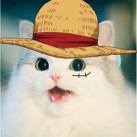 Alfredo Pérez 🏴‍☠️ (@dozer_vii) 's Twitter Profile Photo