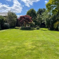 Lodoré (@lodoreofficial) 's Twitter Profile