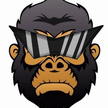 Gorilla Gang
Equipe super fun sur Overwatch 2