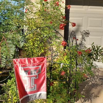 Daughter of The King, Texas Tech grad, mom 2 3 great guys, elem. & preschool teacher, CAD drafter. #EveryDayIAmARedRaider #TSUMom https://t.co/7GZ5bc8Qqp