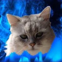 senchan7@γ‘γγͺγΉεγθͺγγ§γγ γγ (@senchan_7) 's Twitter Profile Photo senchan7@γ‘γγͺγΉεγθͺγγ§γγ γγ (@senchan_7) 's Twitter Profile Photo