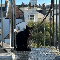 AL (@laird_iain) 's Twitter Profile