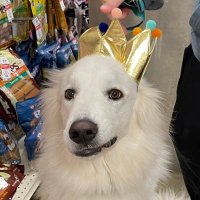 Cole Spivey (@cole_winning) 's Twitter Profile Photo