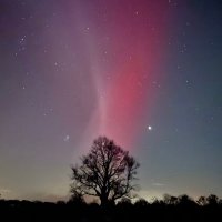 John Flannery (@theskybyeye) 's Twitter Profile