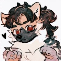 HushPuppy (@polderjoch) 's Twitter Profile