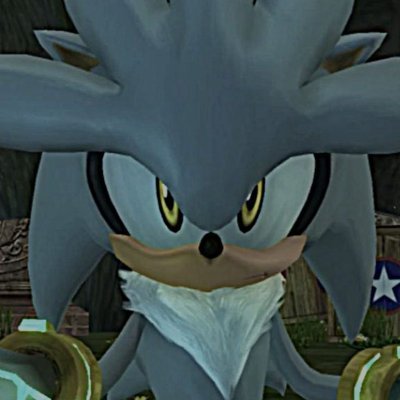 #1 Silver the Hedgehog Fan