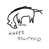 トモタ(某サカティ) (@sakatyanp) 's Twitter Profile