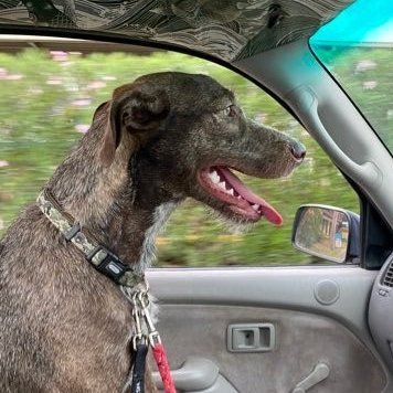 PBMJ_Tweets's profile picture. 