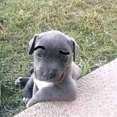 luisnuler's profile picture. Sociable, amigable, calido y excelente amigo ♥