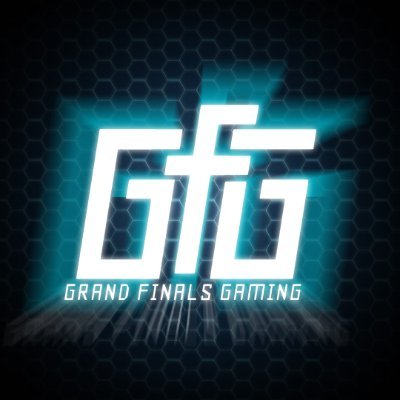 gFinalsGaming Profile Picture