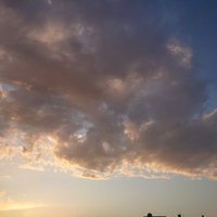 烏有 (@yu6key) 's Twitter Profile