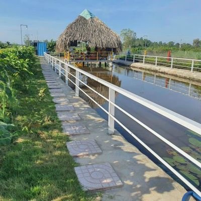 HauDangMMO's profile picture. Chào các bạn .Mình xin được chia sẽ các bạn các loại thảo dược xung quanh chúng ta mà chúng ta hay bỏ qua
