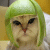 opinionated, yogi, hippy, mother, academic, grumpy old bint