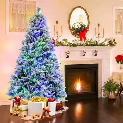 We have the best Christmas tree for you at a low price and legit delivery to your door step contacts us for more info in our email :christel6635@gmail.com