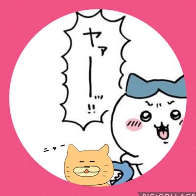 ノラねこ🐈🍶🍷🍺さんのプロフィール画像