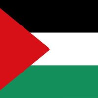 هلال يمني فلسطيني 🇵🇸 (@hlalzyd99321) 's Twitter Profile
