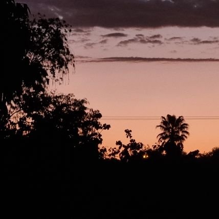 xchsing's profile picture. 