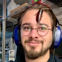 Mikaelison (@mikaelisonsl) 's Twitter Profile