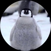 にいろ (@ryu216322) 's Twitter Profile