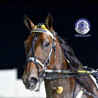 Yannick Gingras(@Gingras3) 's Twitter Profileg