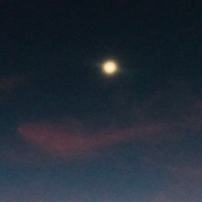 orangechuuu's profile picture. 